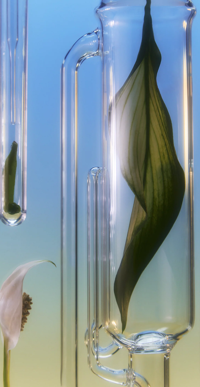 scopri banner image